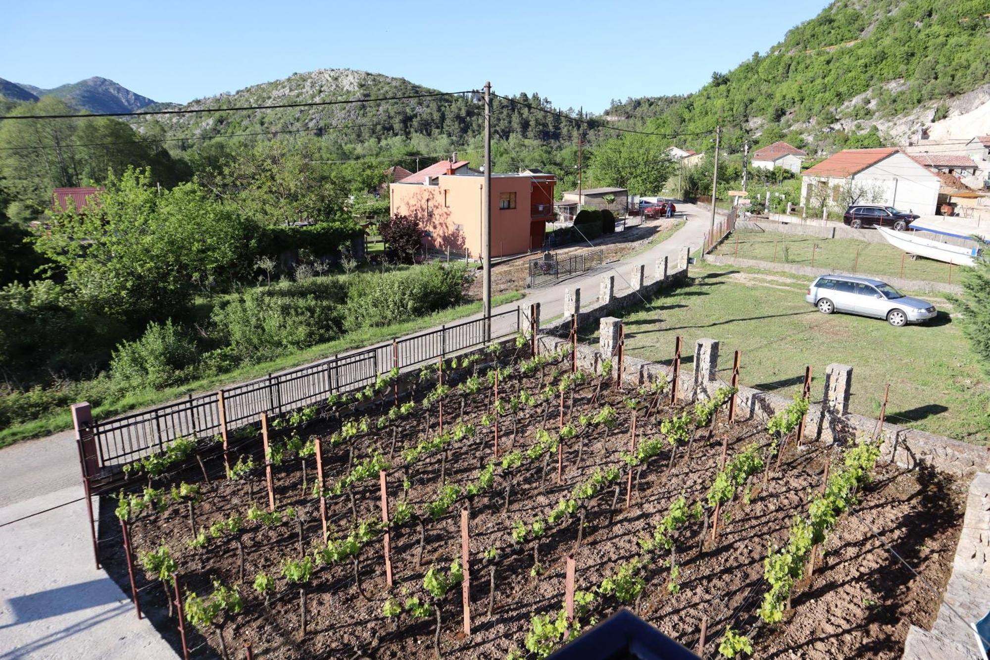 Green Field Apartments Virpazar Dış mekan fotoğraf